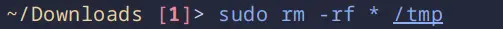 The command `sudo rm -rf * /tmp` run in the `~/Downloads` directory